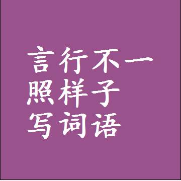 言行不一照样子写词语