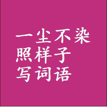 一尘不染照样子写词语