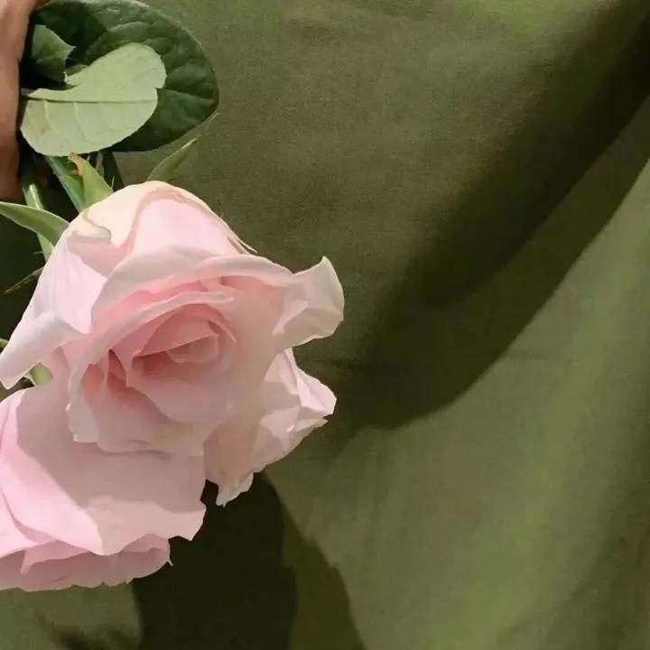 女生发的日常说说