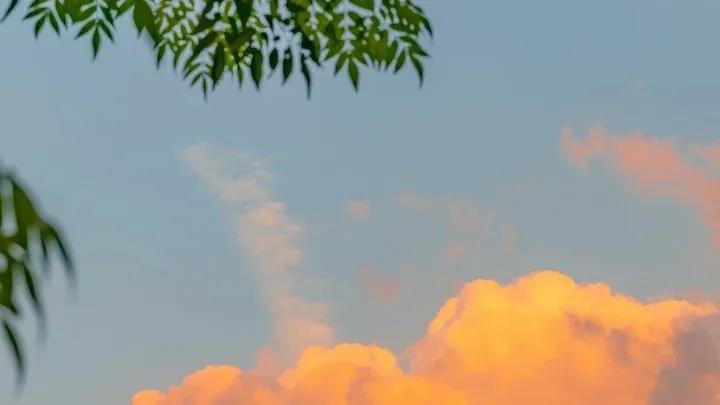 适合夏天的句子