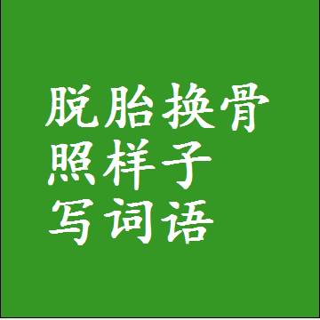 脱胎换骨照样子写词语，意思相同结构类似的四字词语
