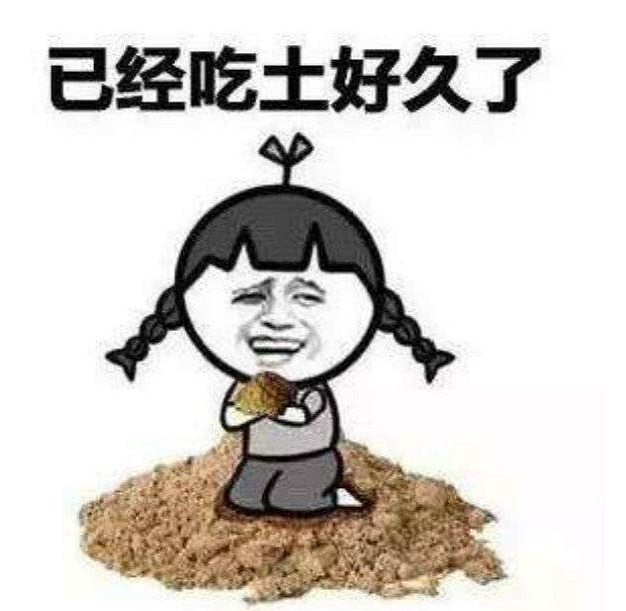 穷到吃土的搞笑句子