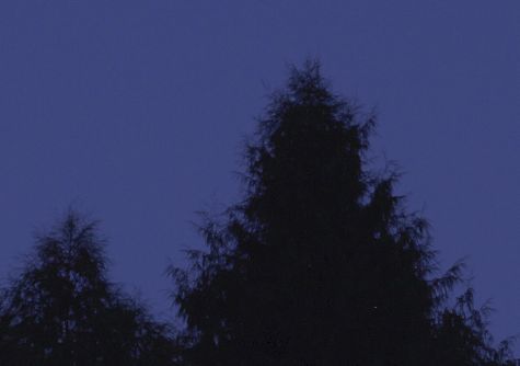 半夜睡不着的说说 2021最新失眠文案精选30句