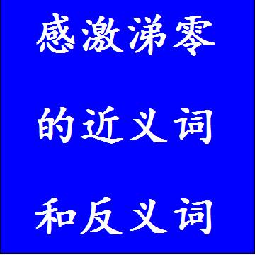 感激涕零的近义词和反义词成语