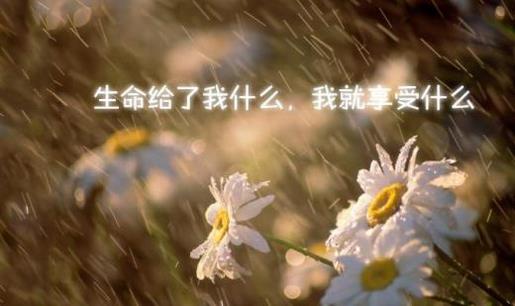 说说励志短语人生感悟 阳光正能量的励志说说短语