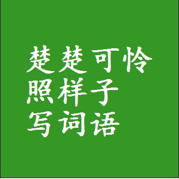 楚楚可怜照样子写词语
