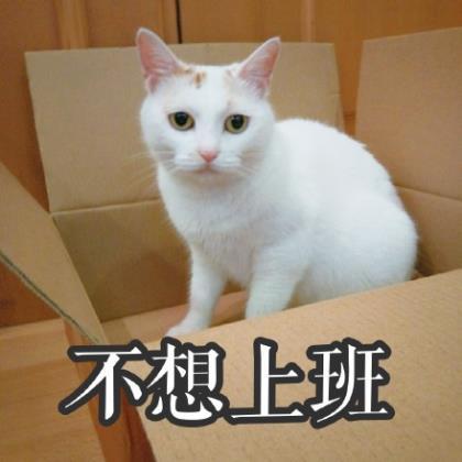 包粽子发朋友圈 包粽子的朋友圈说说