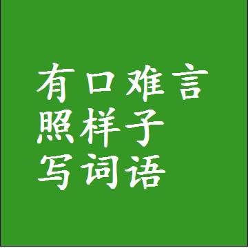有口难言照样子写词语和成语