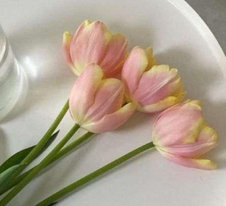 周末跟朋友吃美食的短句 周末聚会朋友圈说说集锦23句