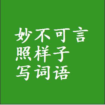 妙不可言照样子写词语和成语