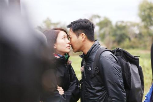 如何评价张智霖袁咏仪夫妇