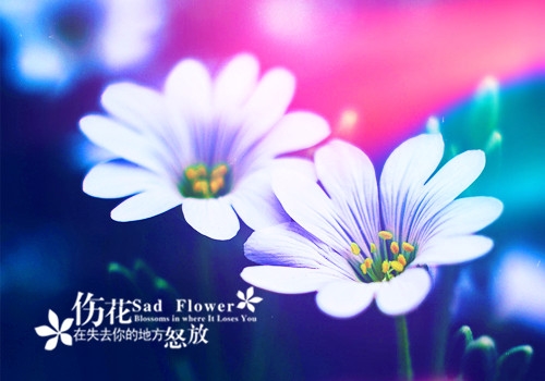对一个人的热情耗尽了的说说汇编40句