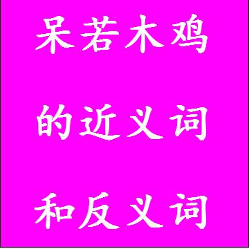 呆若木鸡的近义词和反义词