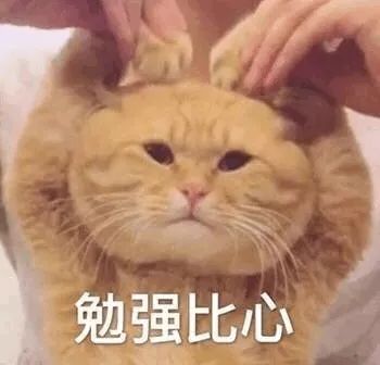 勉强的感情不会幸福句子