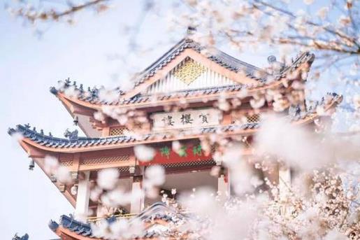 熬夜的句子短句霸气