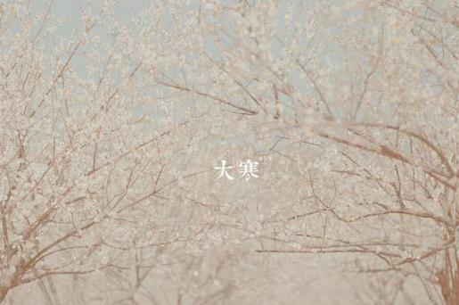 熬夜的句子短句霸气