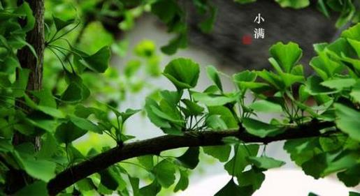 励志心情说说感悟生活态度 工作励志说说心情短语