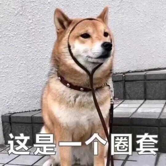 来都来了大过年类似的句子
