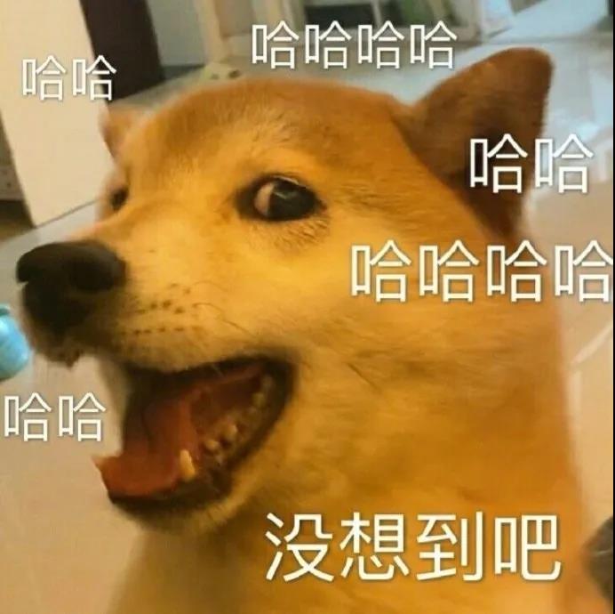 来都来了大过年类似的句子