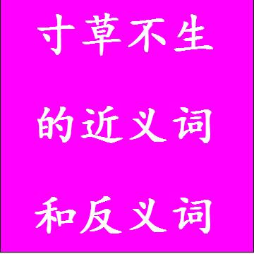 寸草不生的近义词和反义词