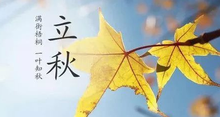 秋天发朋友圈的精美句子 秋天的唯美清新句子