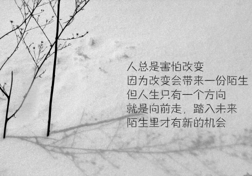 致一直在奋斗的路上自己的句子(46句)