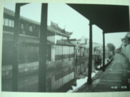 暖心励志的句子经典(精选51句)