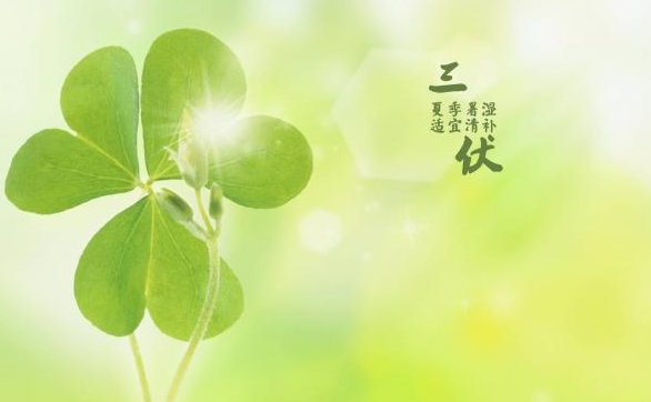 描写三伏天酷热的句子