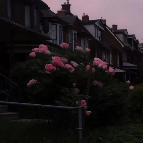 很失望心凉的句子