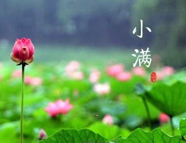 2021小满节气快乐正能量祝福语 二十字节气小满经典说说29句