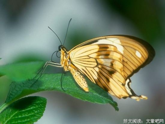 大中有小，小中见大
