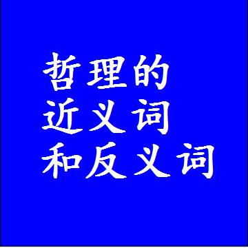 哲理的近义词和反义词，标准答案两个字的词语