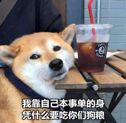 没有情人的情人节说说