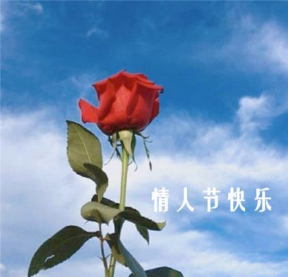 古风情侣签名 个性签名情侣一对简短