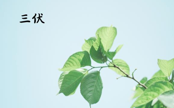 三伏天搞笑说说朋友圈