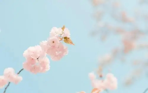 浪漫且高级的爱意文案