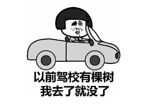关于学车的搞笑说说