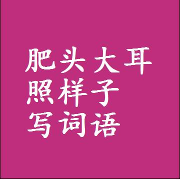 肥头大耳照样子写词语