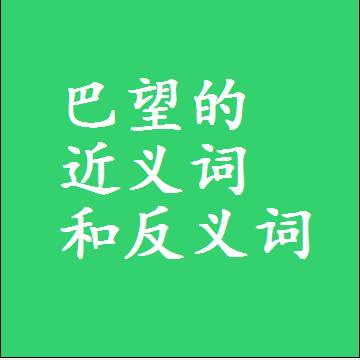 巴望的近义词和反义词标准答案