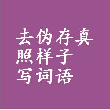 去伪存真照样子写词语和成语