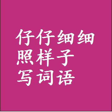 仔仔细细照样子写词语，意思相同结构类似的四字词语