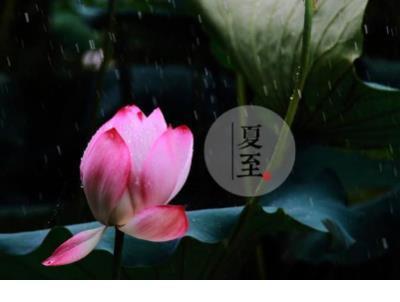 毕业的句子简单到哭的6年级图片 毕业季语录简单到流泪