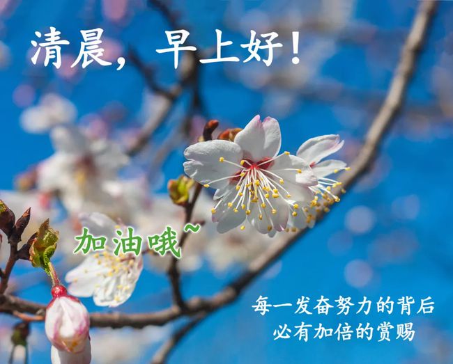 早安撩妹心语：每天一句早安小情话，很甜很撩的早安句子