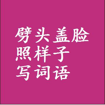 劈头盖脸照样子写词语，意思相同结构类似的四字词语
