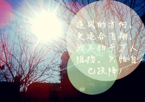 一个人伤感段子精选(53句)
