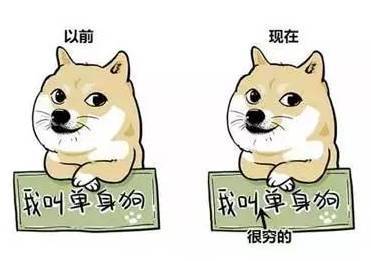 520情人节单身狗发的说说 暗示自己单身的句子