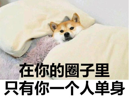 520情人节单身狗发的说说 暗示自己单身的句子