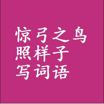惊弓之鸟照样子写词语