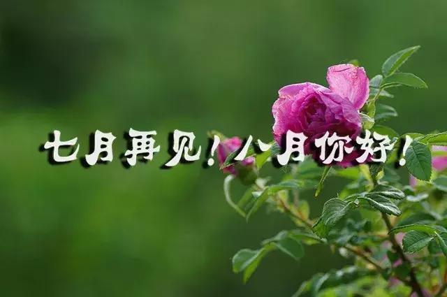 七月再见八月你好的说说
