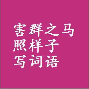 害群之马照样子写词语，结构一样的近义词同义词